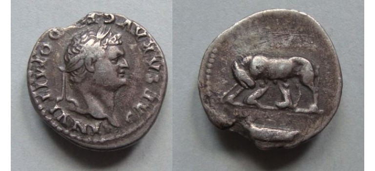 Domitianus - She wolf Remus and Romulus! (O2154) - She wolf